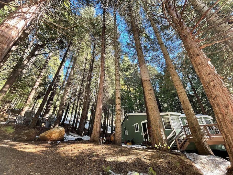Cedar Oasis - Home Base To Big Trees Arnold Buitenkant foto